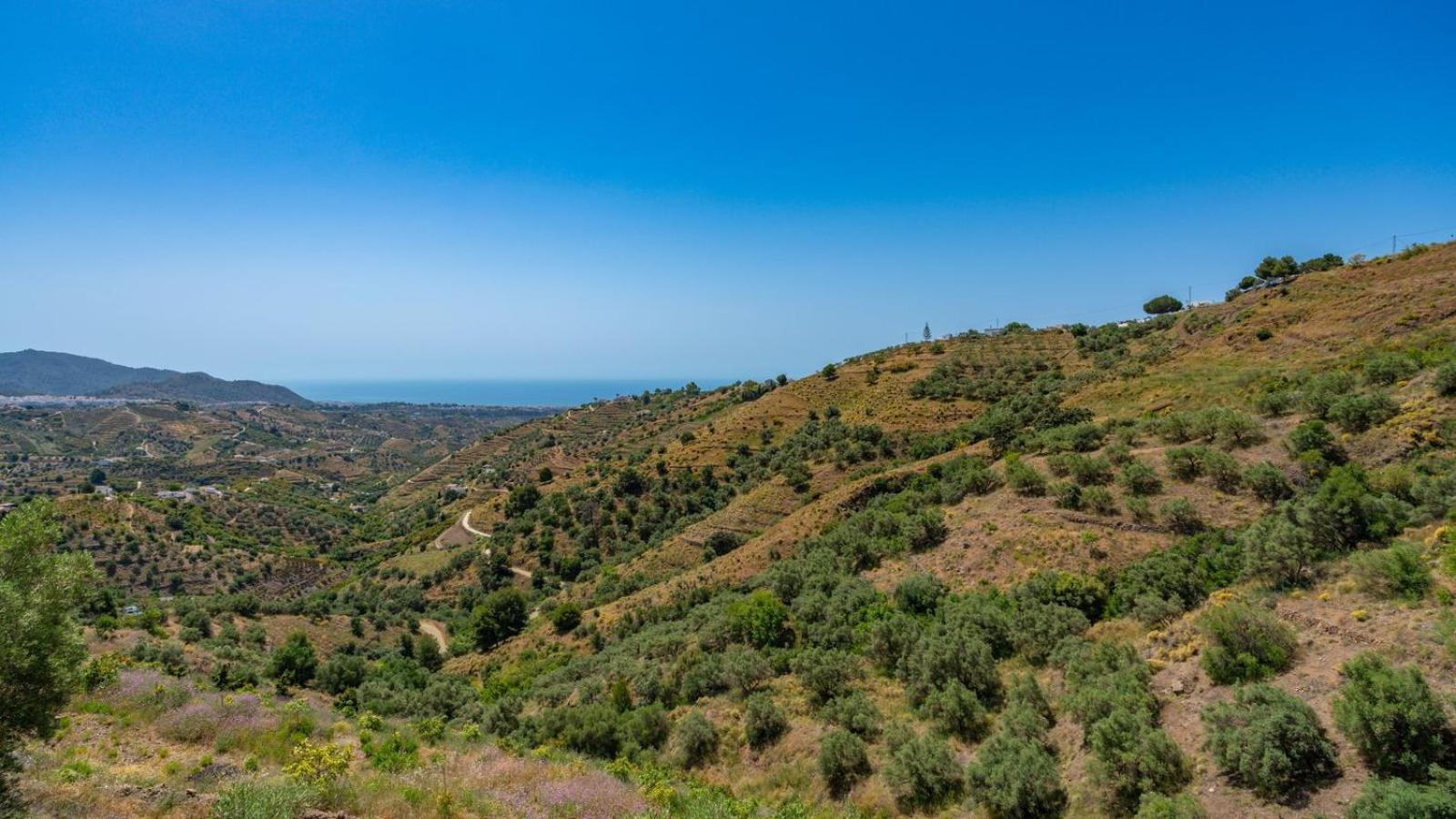 Cortijo El Mirador Frigiliana By Ruralidays Villa Ngoại thất bức ảnh